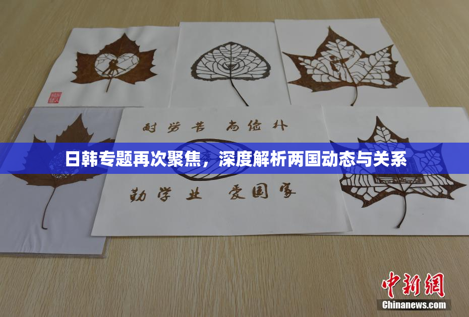 日韩专题再次聚焦，深度解析两国动态与关系