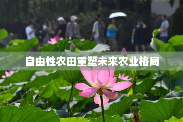 自由性农田重塑未来农业格局