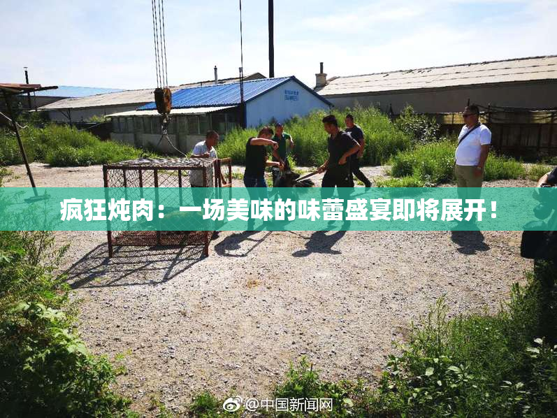 疯狂炖肉：一场美味的味蕾盛宴即将展开！