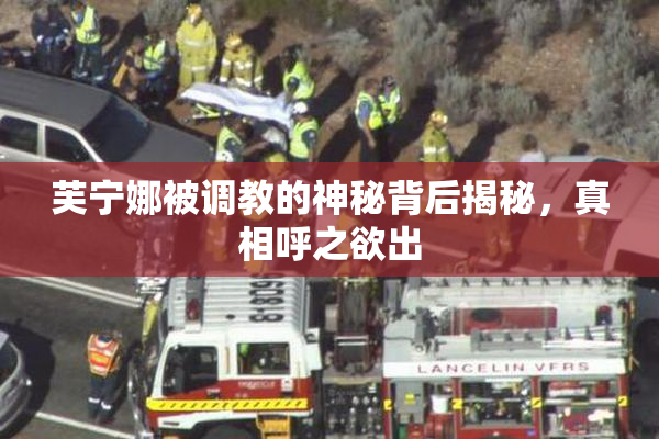 芙宁娜被调教的神秘背后揭秘，真相呼之欲出
