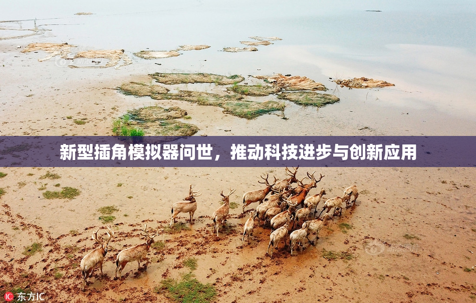 新型插角模拟器问世，推动科技进步与创新应用