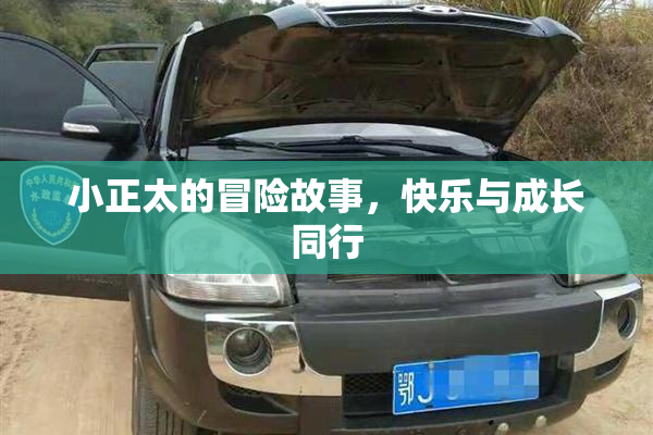 小正太的冒险故事，快乐与成长同行
