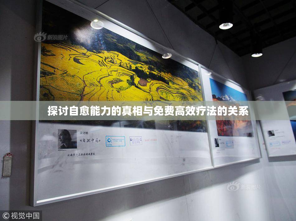 探讨自愈能力的真相与免费高效疗法的关系