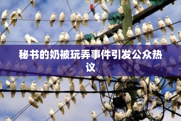 秘书的奶被玩弄事件引发公众热议