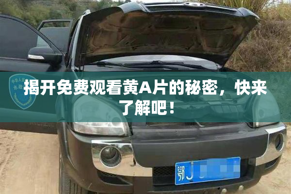 揭开免费观看黄A片的秘密，快来了解吧！