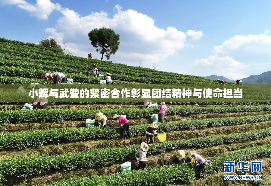 小辉与武警的紧密合作彰显团结精神与使命担当