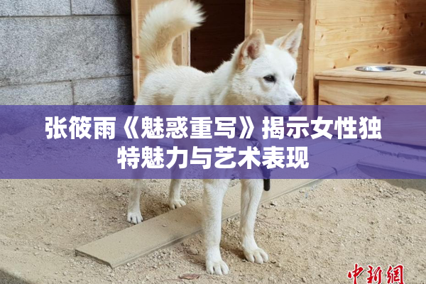 张筱雨《魅惑重写》揭示女性独特魅力与艺术表现