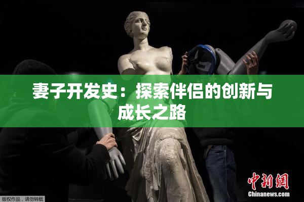 妻子开发史：探索伴侣的创新与成长之路