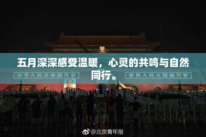 五月深深感受温暖，心灵的共鸣与自然同行。