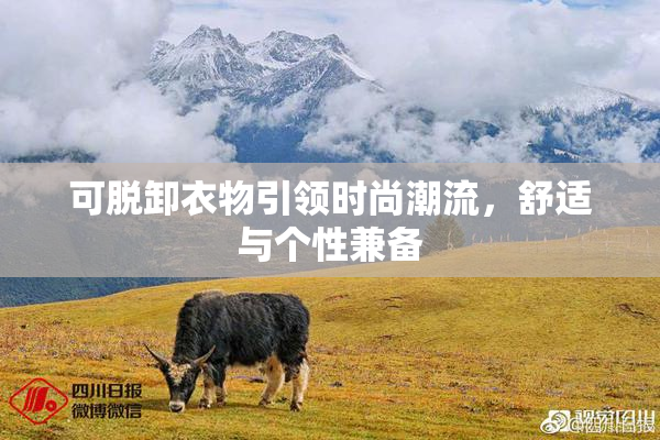 可脱卸衣物引领时尚潮流，舒适与个性兼备