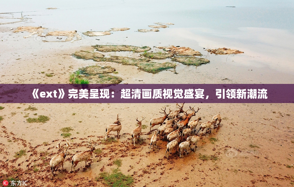 《ext》完美呈现：超清画质视觉盛宴，引领新潮流