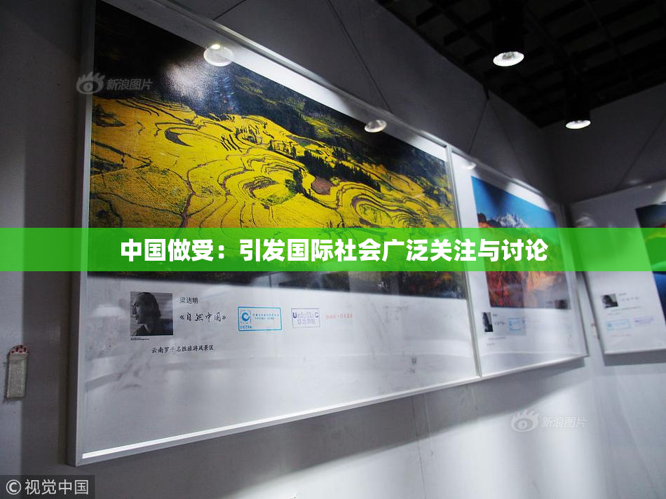 中国做受：引发国际社会广泛关注与讨论