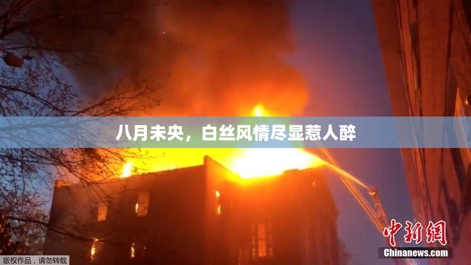 八月未央，白丝风情尽显惹人醉