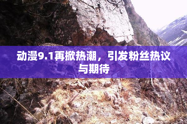 动漫9.1再掀热潮，引发粉丝热议与期待