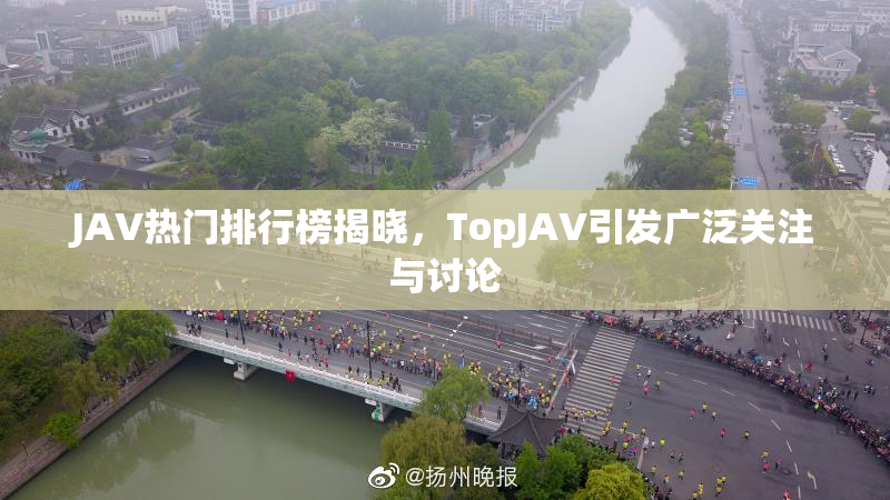 JAV热门排行榜揭晓，TopJAV引发广泛关注与讨论
