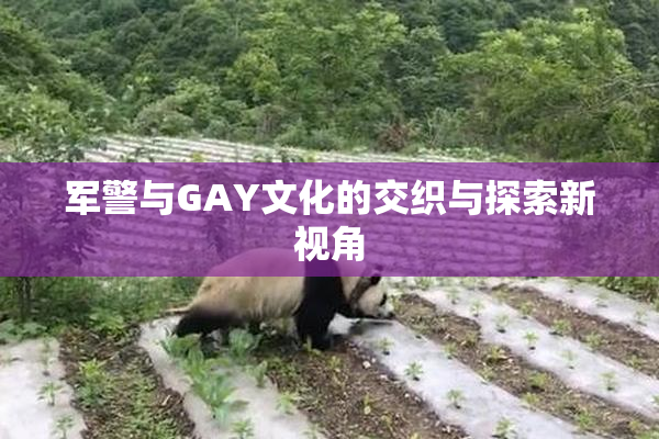 军警与GAY文化的交织与探索新视角