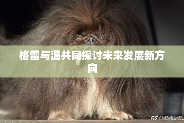 格雷与温共同探讨未来发展新方向