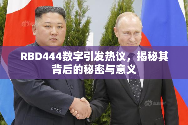 RBD444数字引发热议，揭秘其背后的秘密与意义