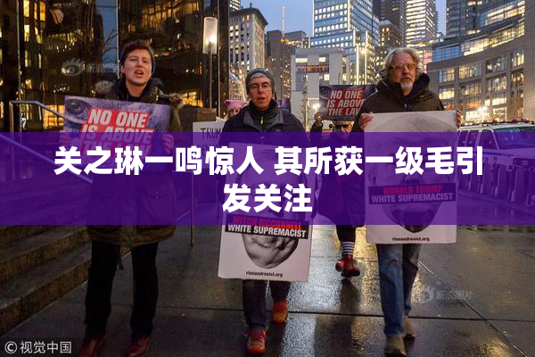 关之琳一鸣惊人 其所获一级毛引发关注