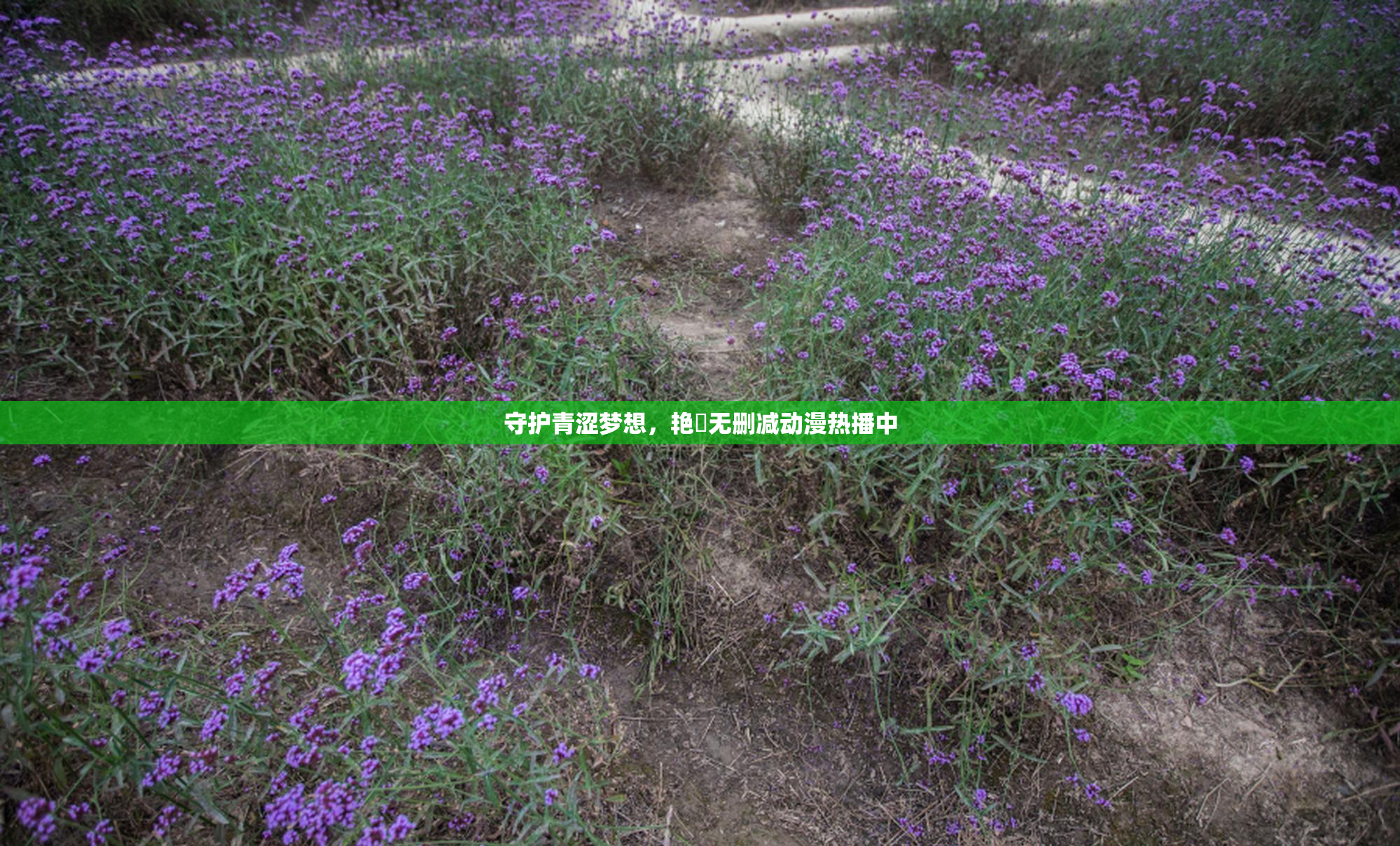 守护青涩梦想，艳鉧无删减动漫热播中