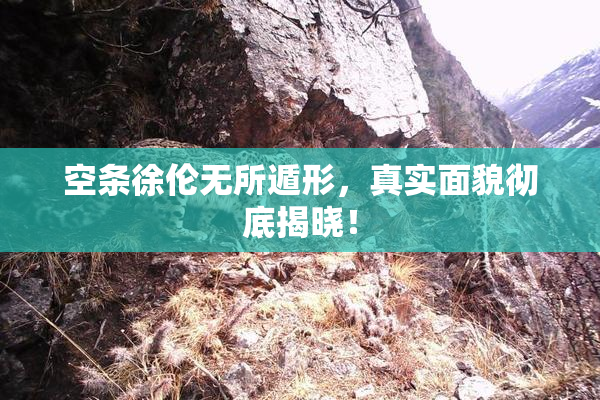 空条徐伦无所遁形，真实面貌彻底揭晓！