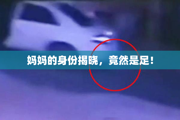 妈妈的身份揭晓，竟然是足！