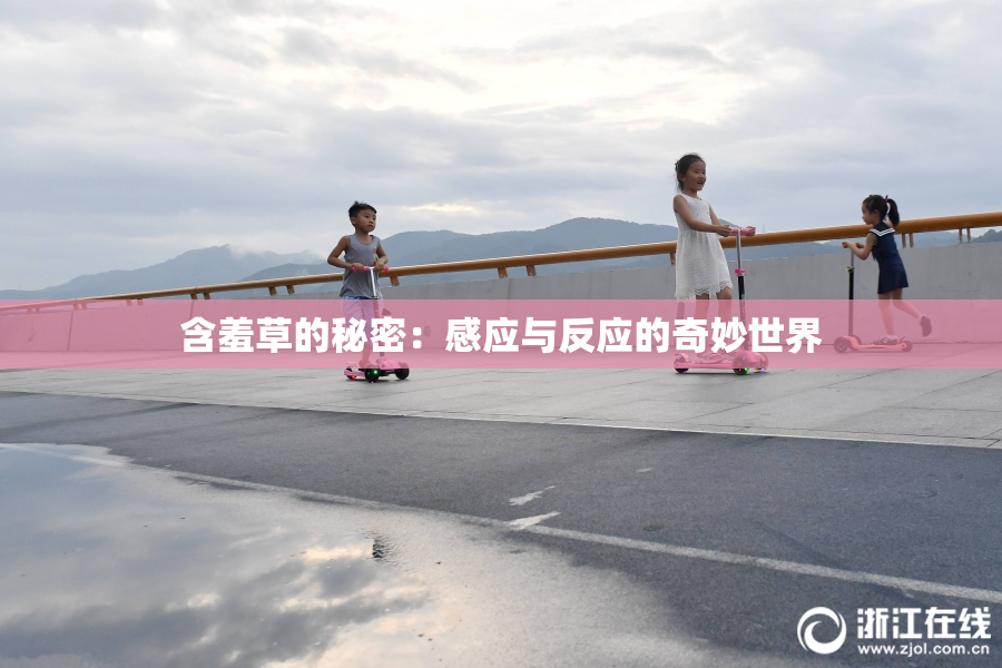 含羞草的秘密：感应与反应的奇妙世界