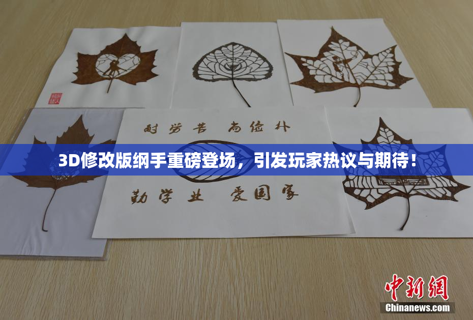 3D修改版纲手重磅登场，引发玩家热议与期待！