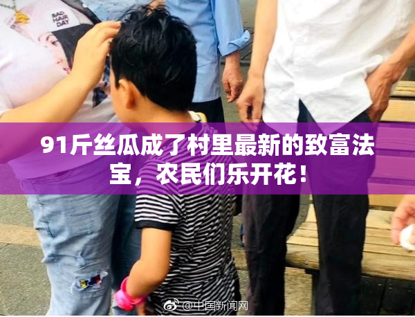 91斤丝瓜成了村里最新的致富法宝，农民们乐开花！