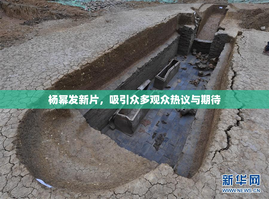 杨幂发新片，吸引众多观众热议与期待