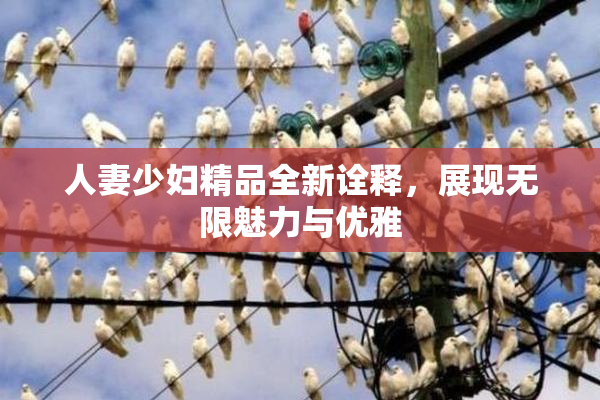 人妻少妇精品全新诠释，展现无限魅力与优雅