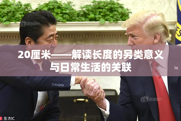 20厘米——解读长度的另类意义与日常生活的关联