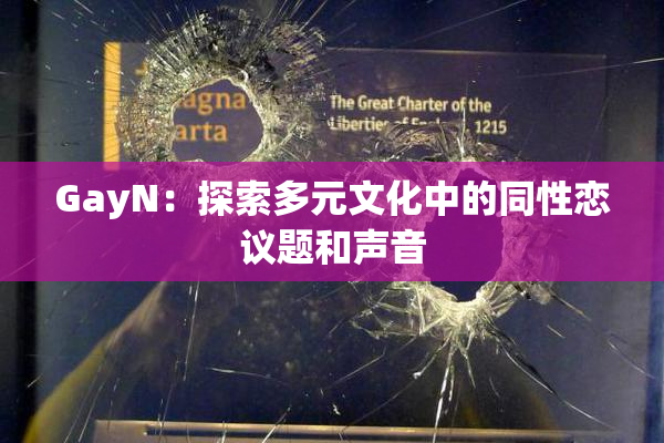GayN：探索多元文化中的同性恋议题和声音