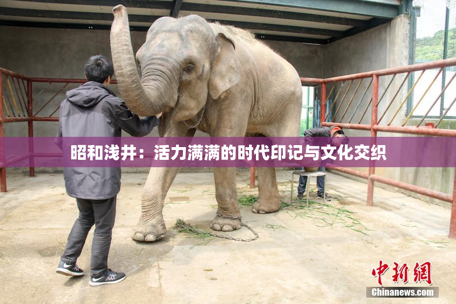 昭和浅井：活力满满的时代印记与文化交织