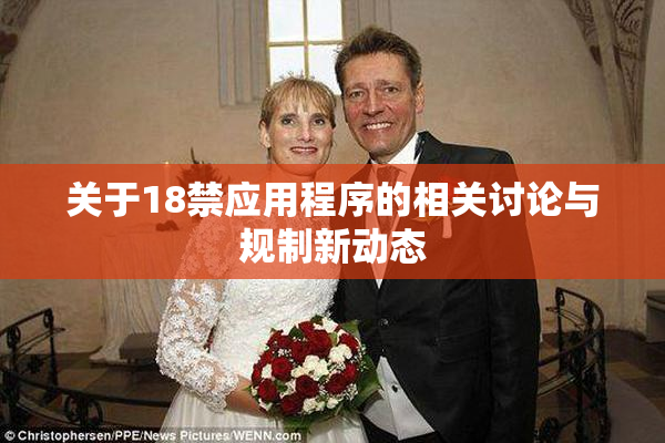 关于18禁应用程序的相关讨论与规制新动态