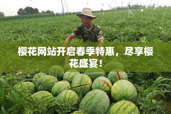 樱花网站开启春季特惠，尽享樱花盛宴！