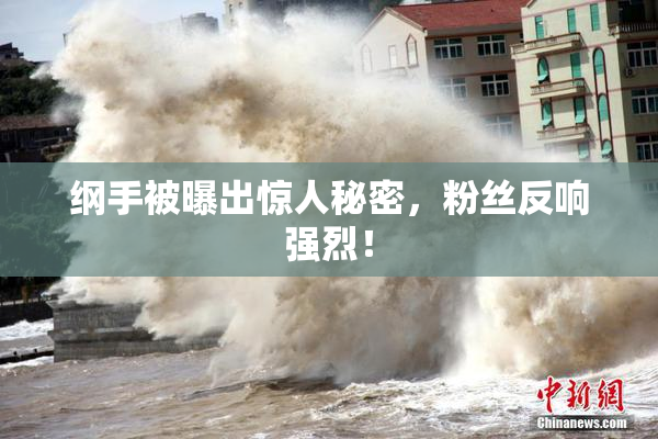 纲手被曝出惊人秘密，粉丝反响强烈！