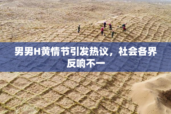 男男H黄情节引发热议，社会各界反响不一
