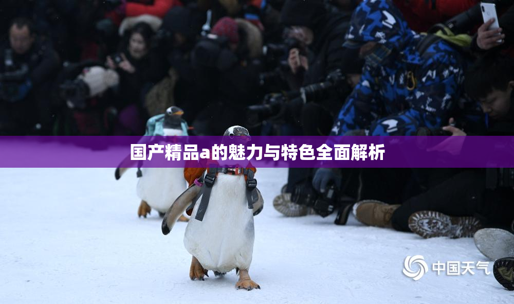 国产精品a的魅力与特色全面解析