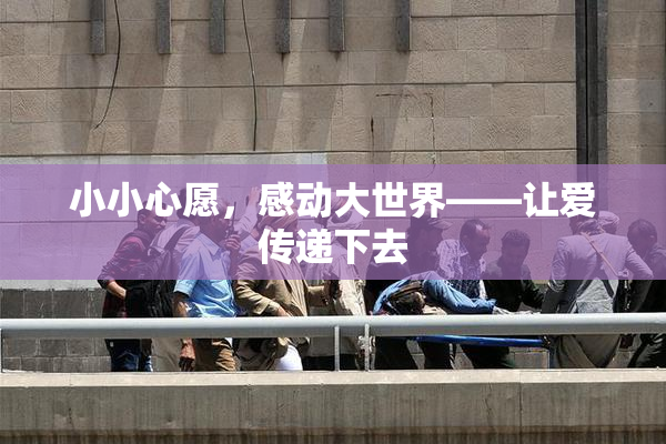 小小心愿，感动大世界——让爱传递下去