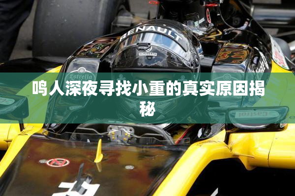 鸣人深夜寻找小重的真实原因揭秘