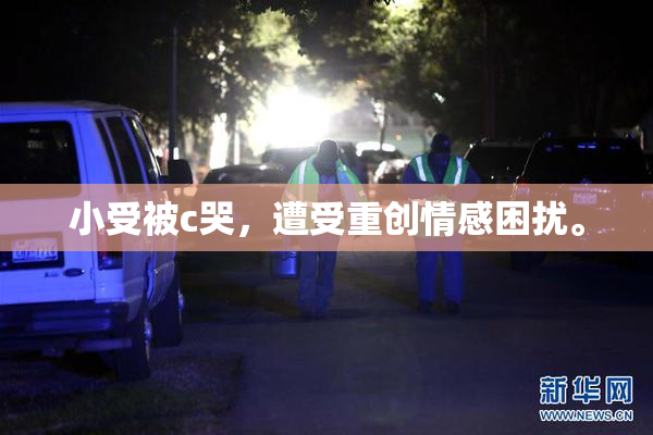 小受被c哭，遭受重创情感困扰。