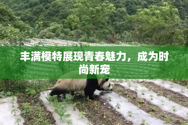 丰满模特展现青春魅力，成为时尚新宠