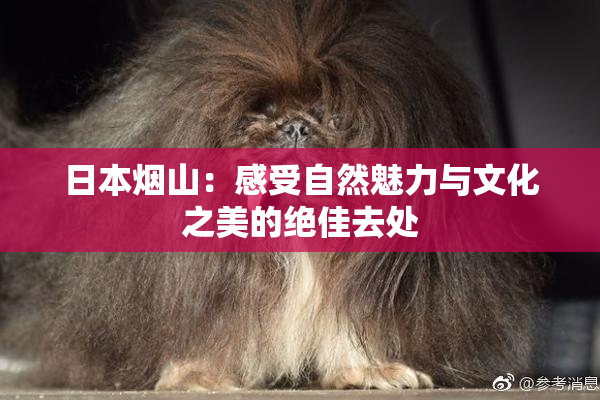日本烟山：感受自然魅力与文化之美的绝佳去处