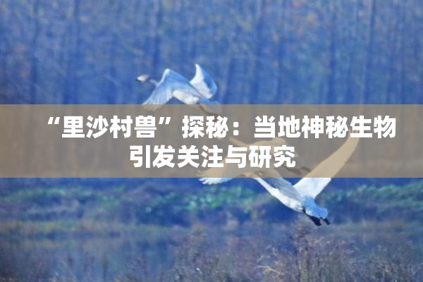 “里沙村兽”探秘：当地神秘生物引发关注与研究