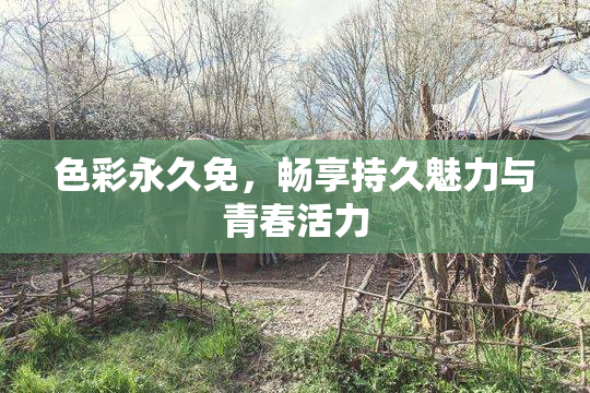 色彩永久免，畅享持久魅力与青春活力