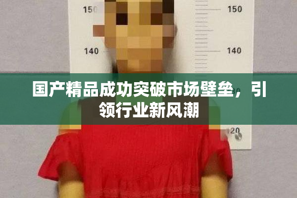 国产精品成功突破市场壁垒，引领行业新风潮