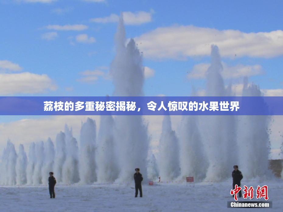 荔枝的多重秘密揭秘，令人惊叹的水果世界