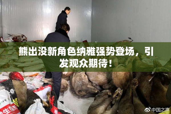熊出没新角色纳雅强势登场，引发观众期待！