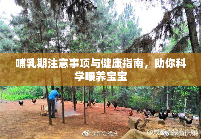 哺乳期注意事项与健康指南，助你科学喂养宝宝
